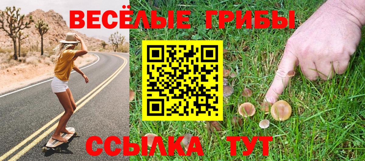 где найти   Галлюциногенные грибы ЛСД  Вход с VPN  Галлюциногенные грибы MAGIC MUSHROOMS  Борзя 