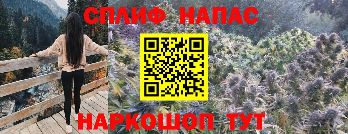 Бошки Шишки Ganja Борзя